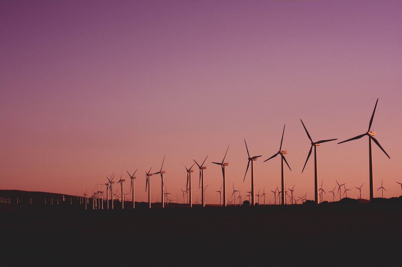 picture of windmills