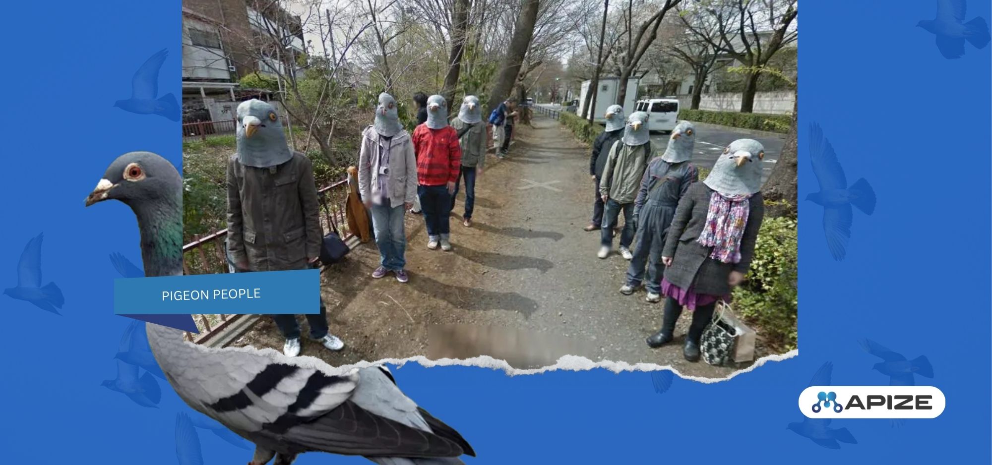Image of the pigeon people on Google Maps.
