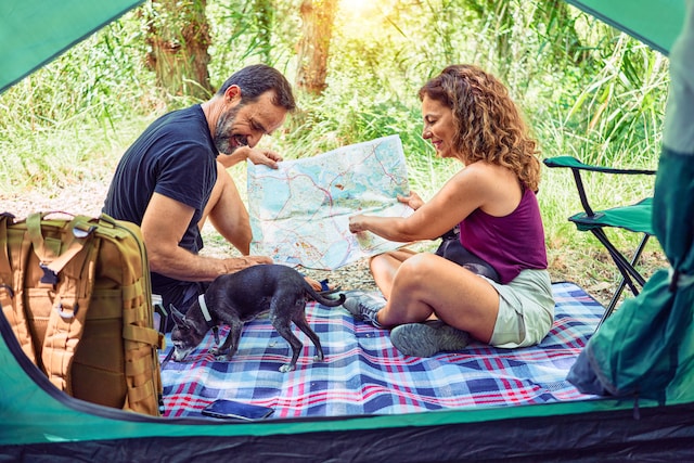 A couple checking out features on a map while camping.