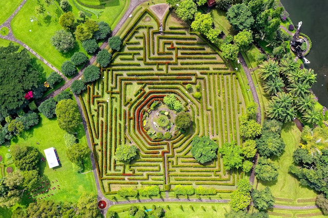 An aerial view of a corn maze.